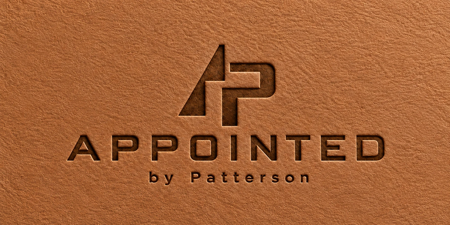 APPOINTED by Patterson